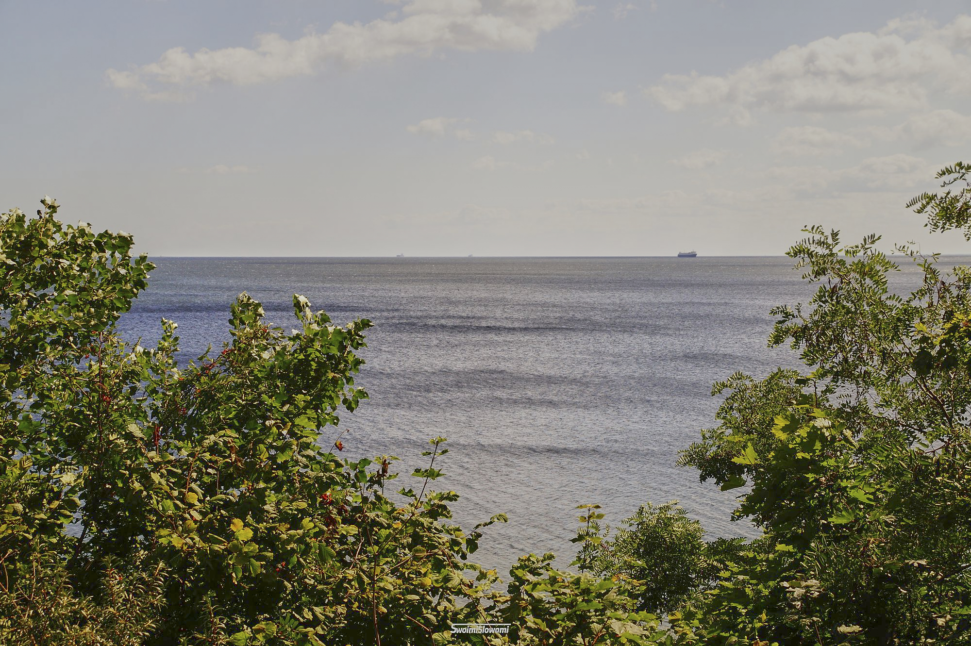 Gdynia Orlowo Klif.jpg
